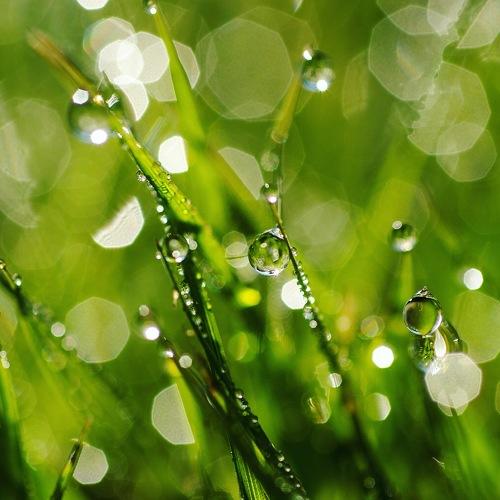 Photo #3772055