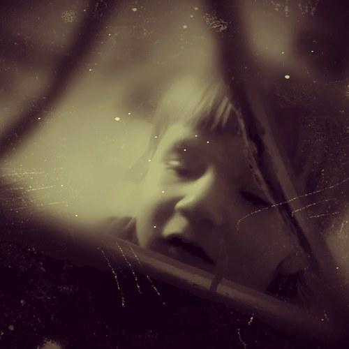 Photo #3772372