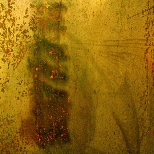 Photo #3772551