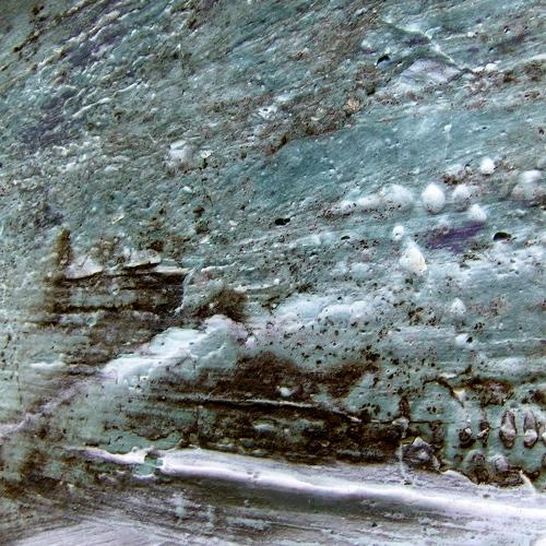 Photo #3772566