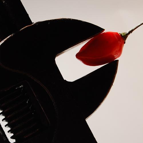 Photo #3772822