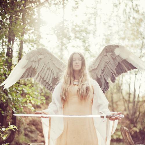 Photo #3773382