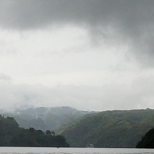 Photo #3773630