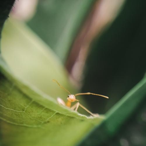 Photo #3773720