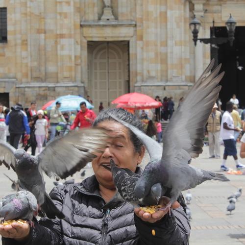 Photo #3773722