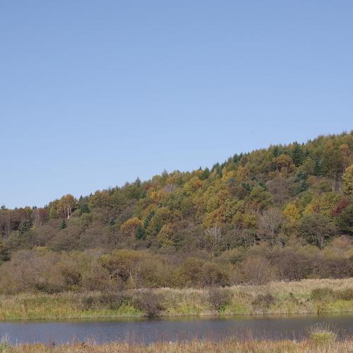 Photo #3773908
