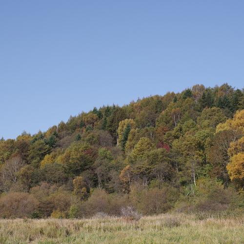 Photo #3773909