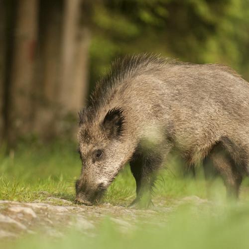 Photo #3774492