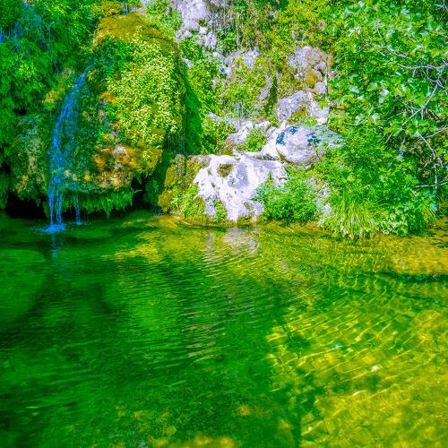Photo #3774646