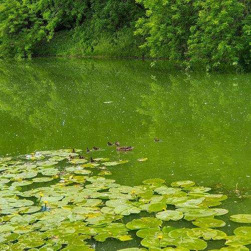 Photo #3774647