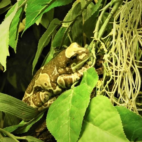 Photo #3774666