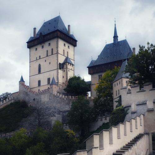 Photo #3775163