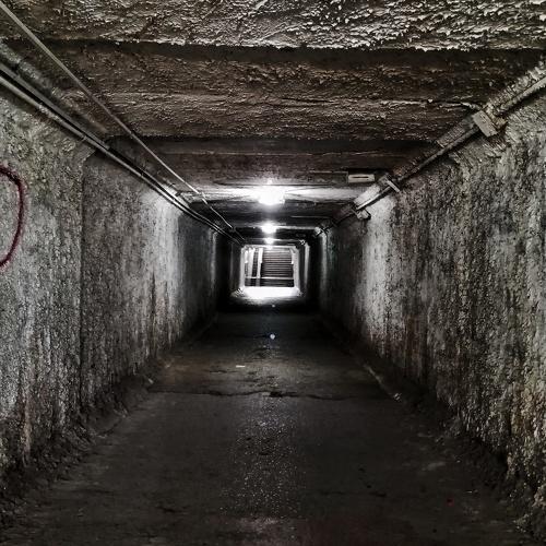 Photo #3775805