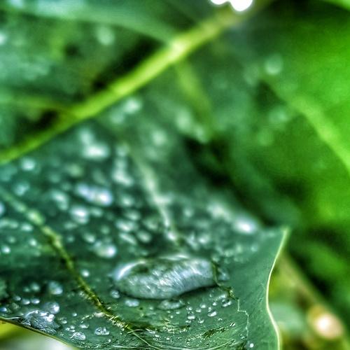 Photo #3775933