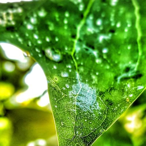 Photo #3775938