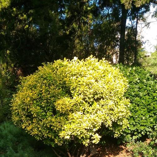 Photo #3776275