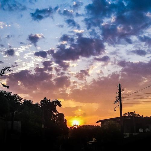 Photo #3776317
