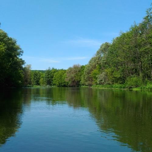 Photo #3776586