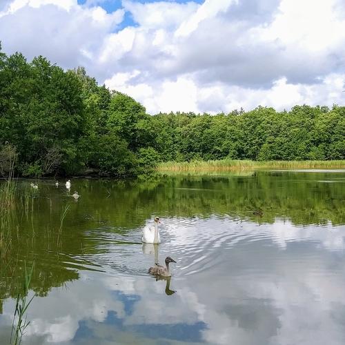 Photo #3776589