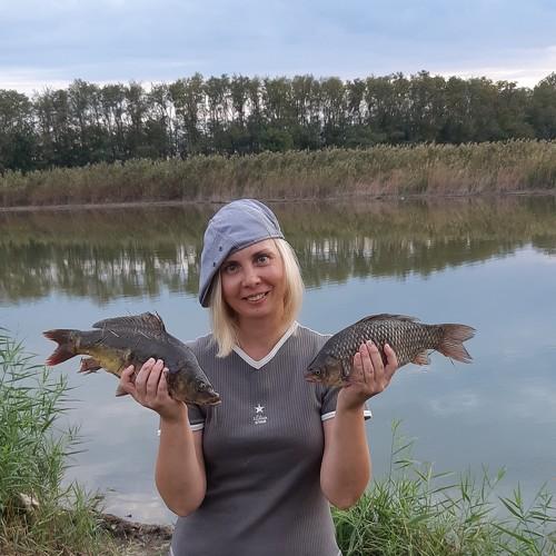 Photo #3776837