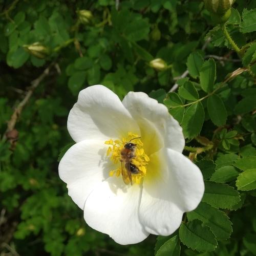 Photo #3777688