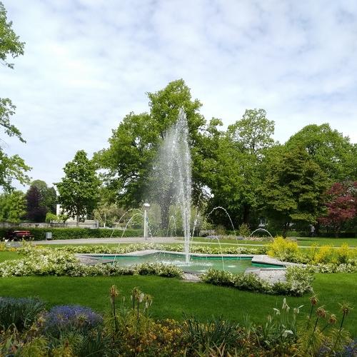 Photo #3777761
