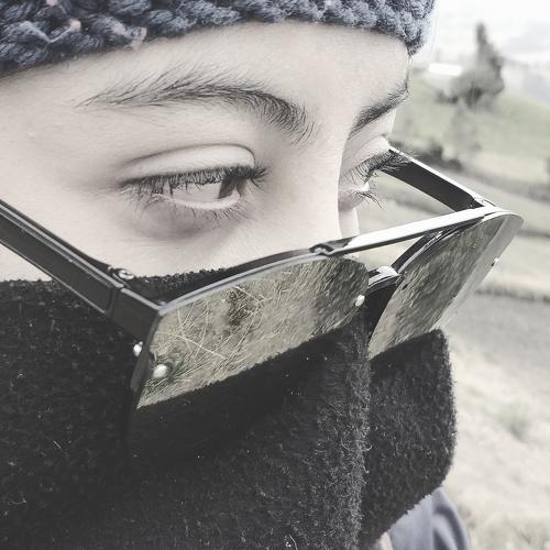 Photo #3777972