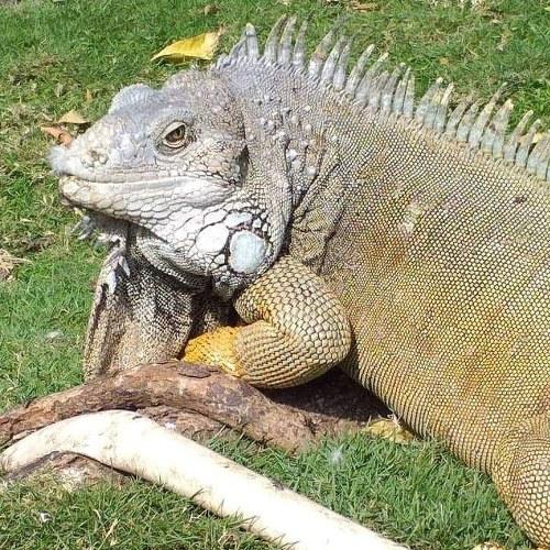 Photo #3778001
