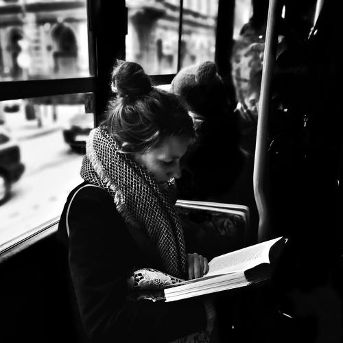 Photo #3778019