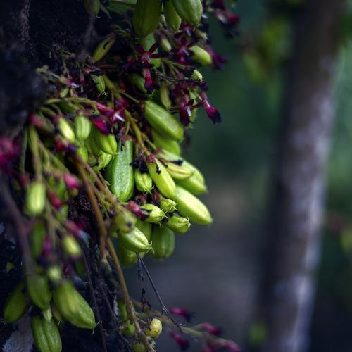 Photo #3778212