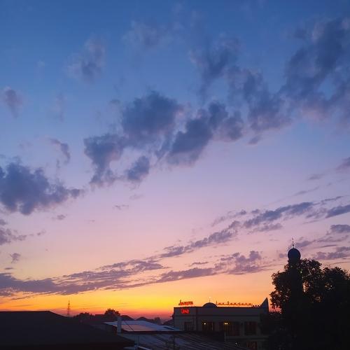 Photo #3778282