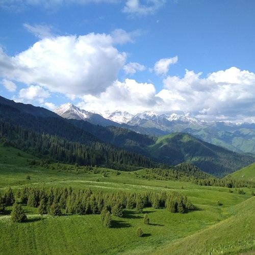 Кок Жайлау