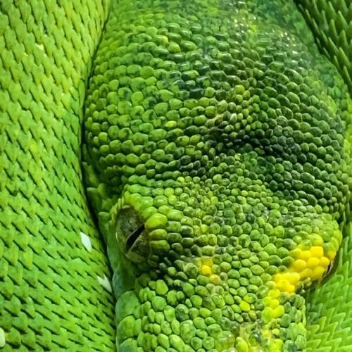 Photo #3778524