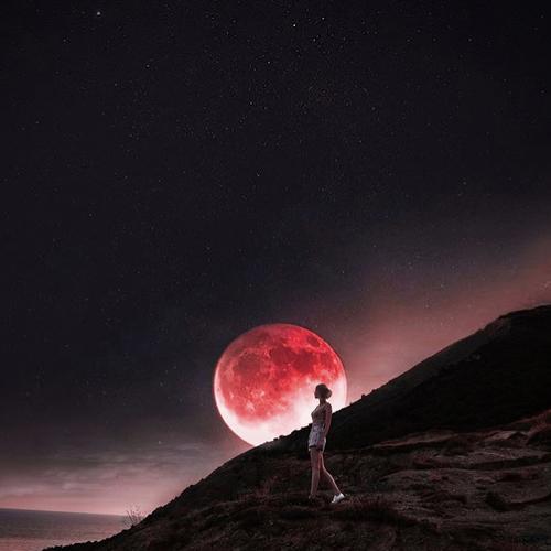 Photo #3778898