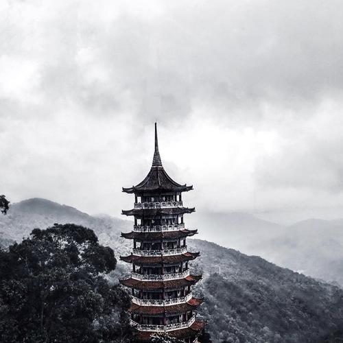 Photo #3778951