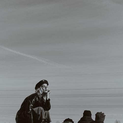 Photo #3779002