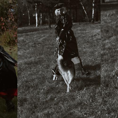 Photo #3779005