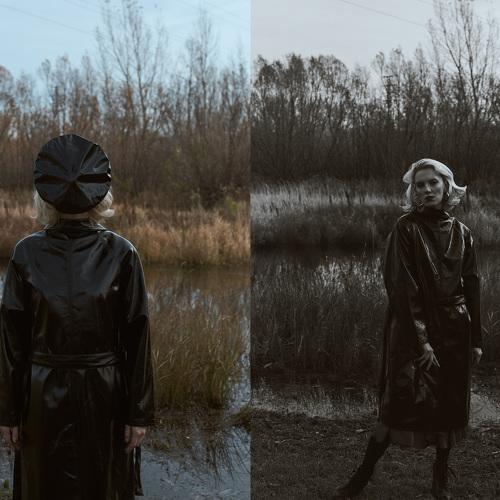 Photo #3779006