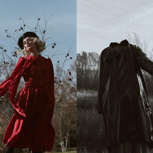 Photo #3779007
