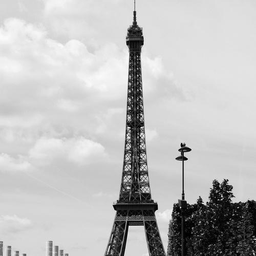 Photo #3779426