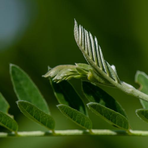 Photo #3779660