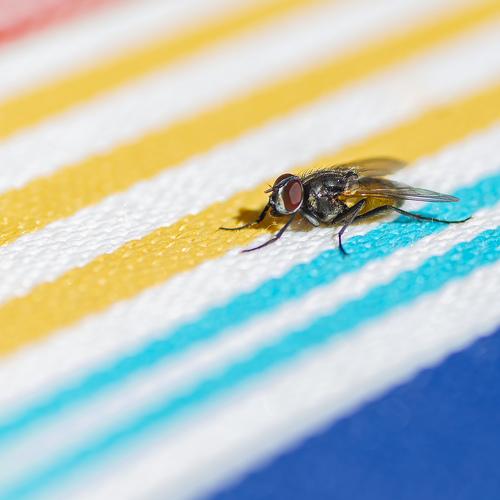 Photo #3780218