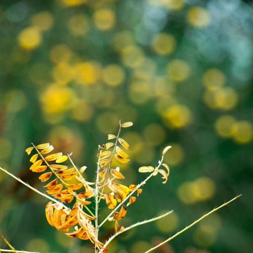 Photo #3780482