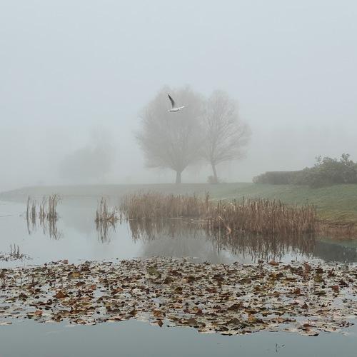 Photo #3780756