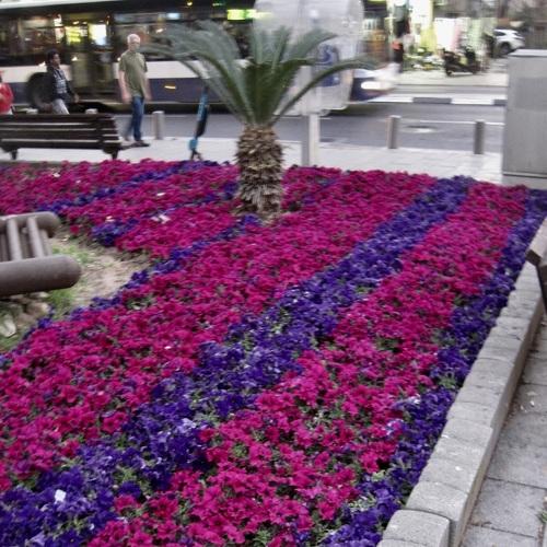 Photo #3780838