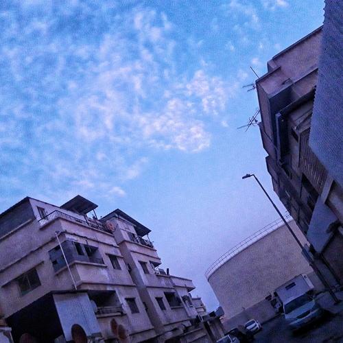 Photo #3781199