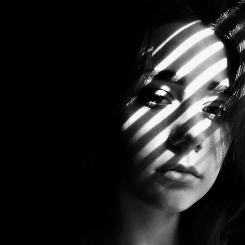 Photo #3781652