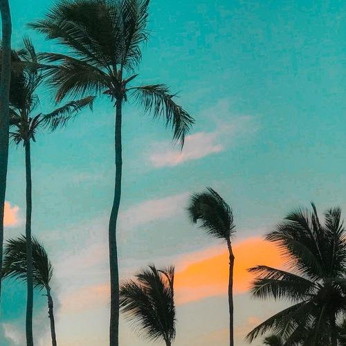 GTA Vice City