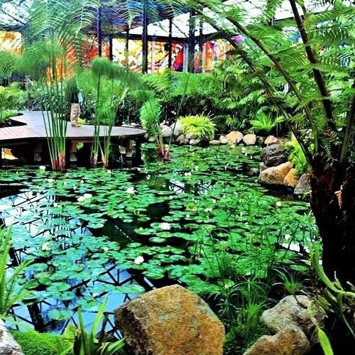 Photo #3782007