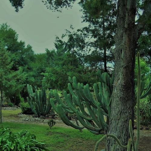 Photo #3782008